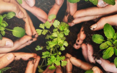 BIBBIA E ECOLOGIA